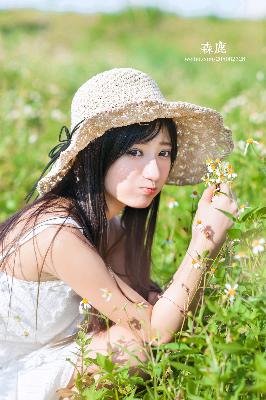 沧元图第二季在线完整免费观看